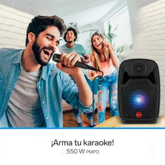 Parlante Steren de 8" 550W Bluetooth / batería recargable