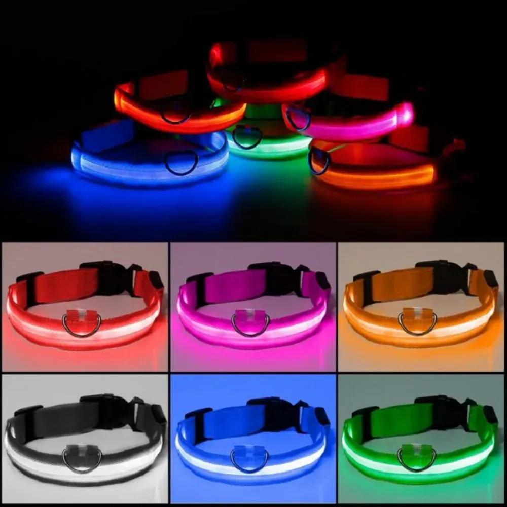 Collar LED Mascotas 