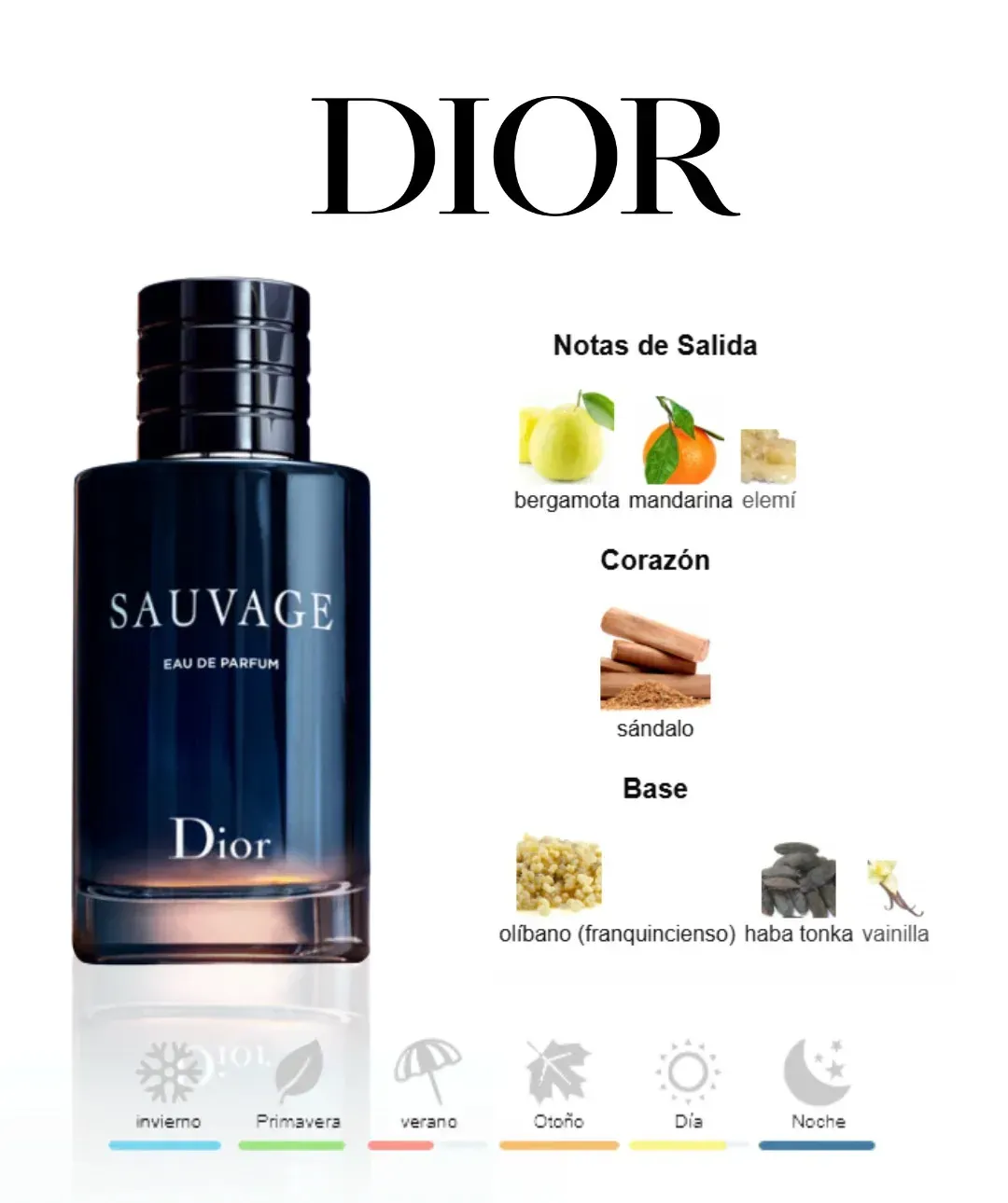 Perfume Sauvage Eau de Parfum Dior Para Hombres