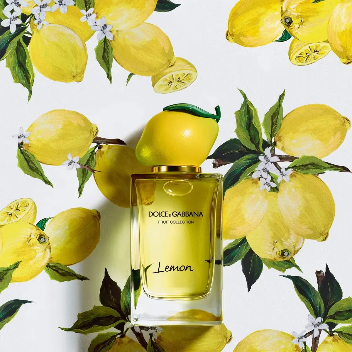 Perfume Lemon Dolce&Gabbana Para Hombres y Mujeres