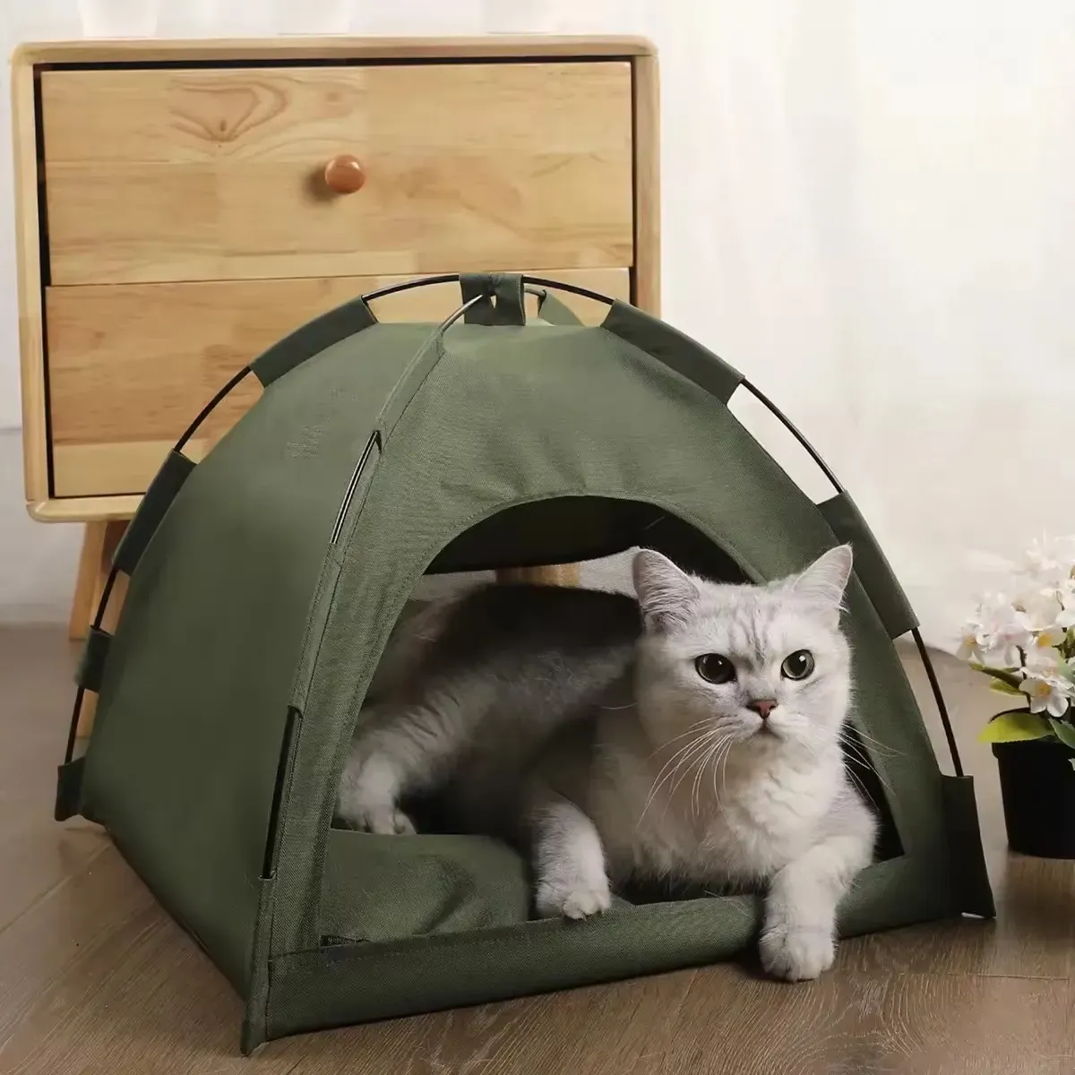 Cama Para mascotas Forma De Carpa 