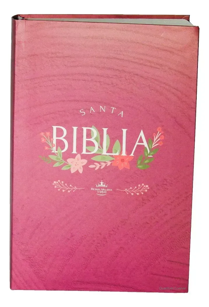 Biblia Reina Valera 1960 Letra Gigante 14 Puntos Color Rosa