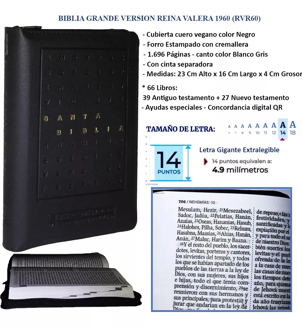 Biblia Reina Valera 1960 Letra Gigante 14 Puntos Negro