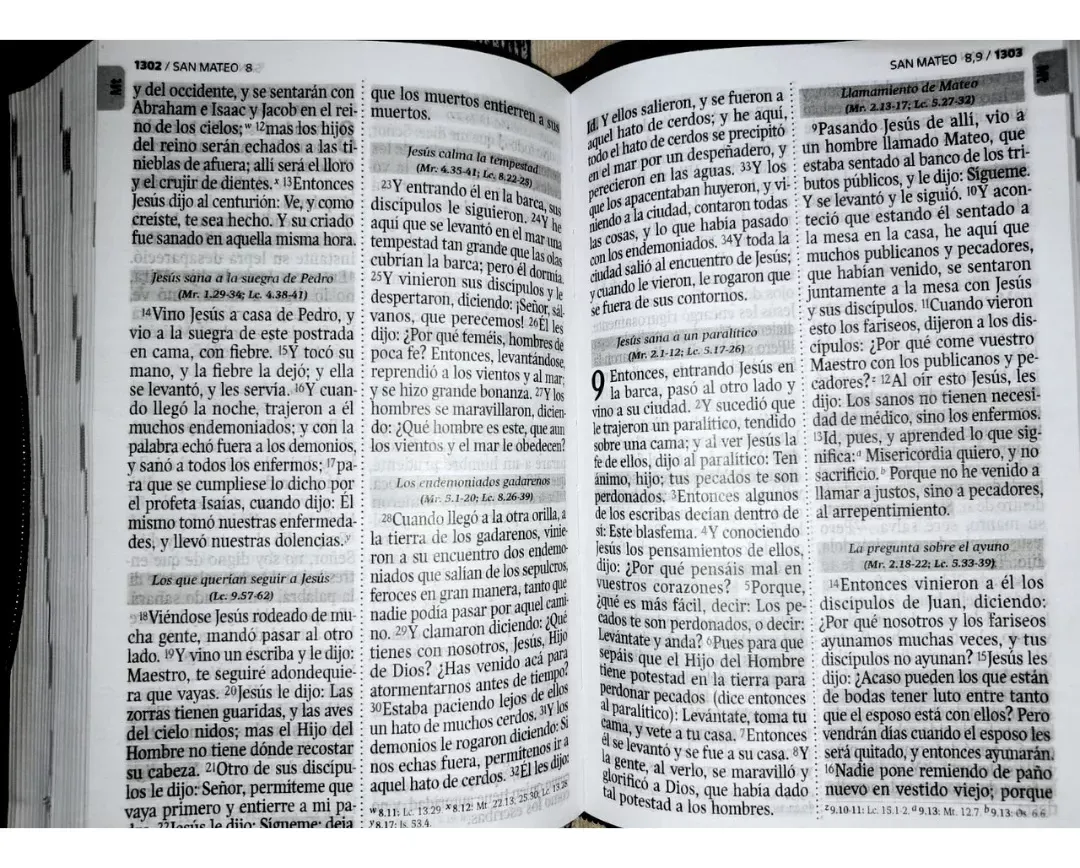 Biblia Canto Pintado Ayudas Qr 14 Puntos