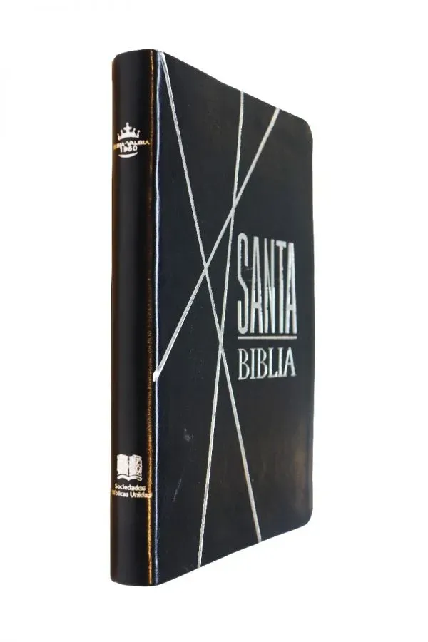 Nueva Biblia Reina Valera 60 Lm Color Negro Canto Pintado