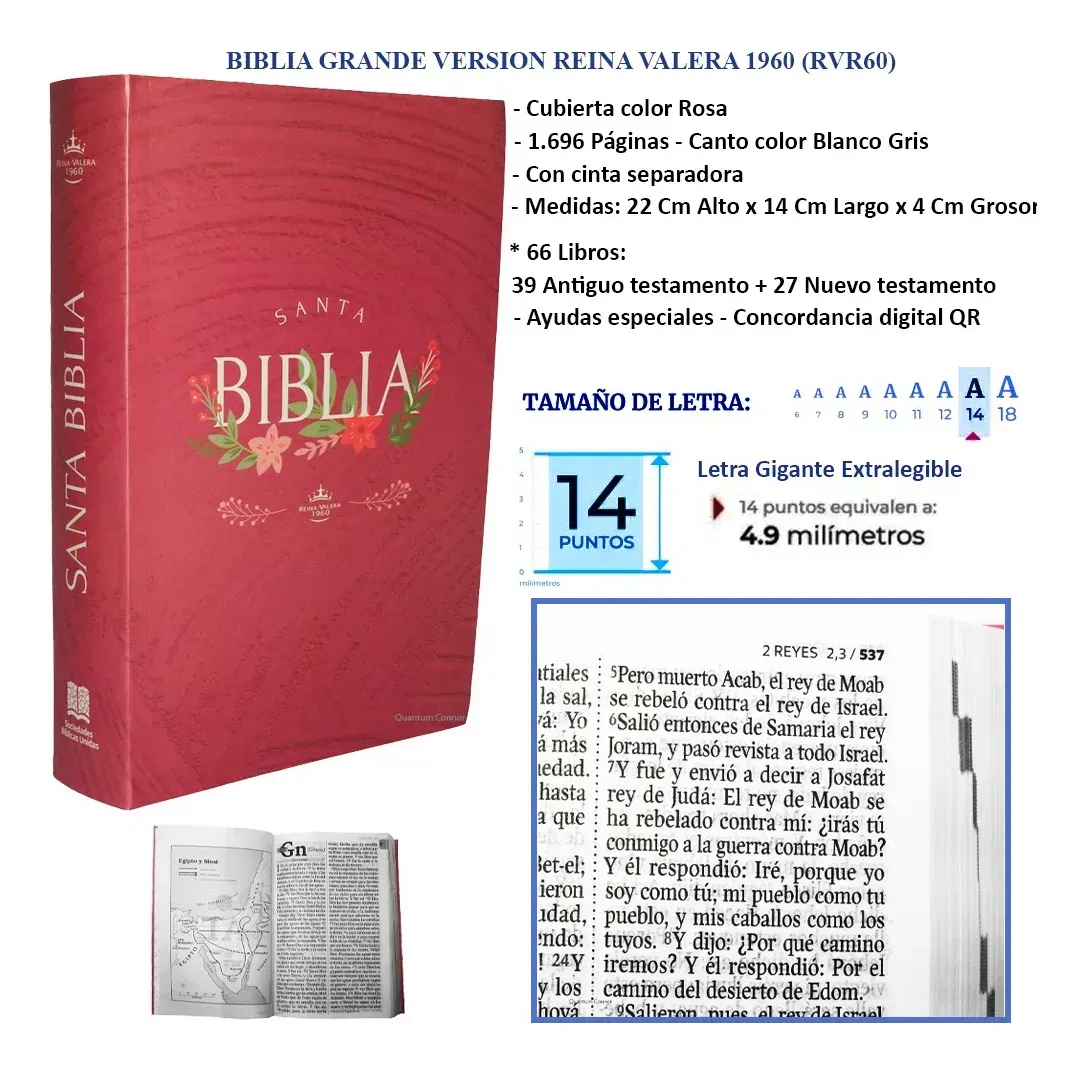 Biblia Reina Valera 1960 Letra Gigante 14 Puntos Color Rosa