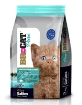 Br For Cat Pure Gatitos Salmón