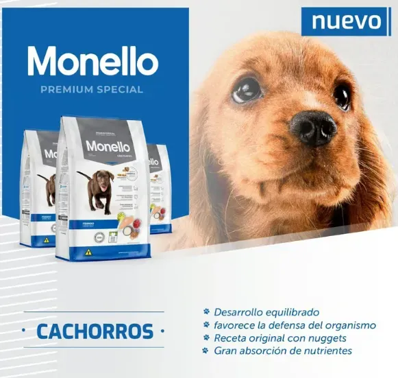 Monello Dog Cachorro 