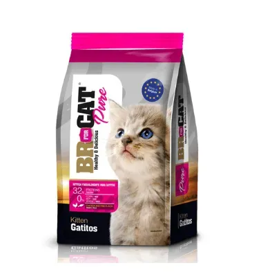 Br For Cat Pure Gatitos Pollo