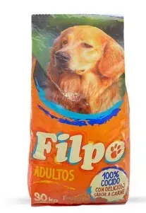 Filpo Perro Adulto