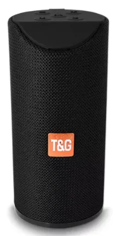 Parlante T&G TG 113 Inalámbrico Recargable 