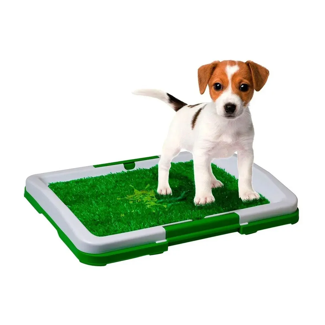 Tapete Entrenador Perros Lavable Baño Caninos Potty Pad Entrenamiento