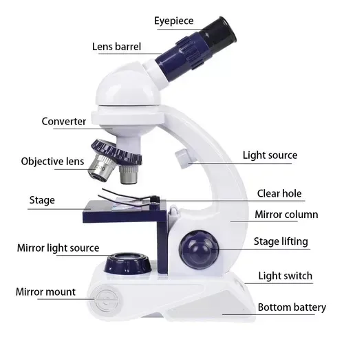 Microscopio Educativo