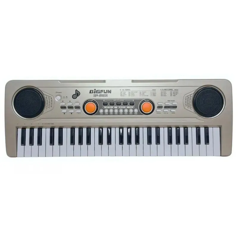 Piano Organeta Eléctrica USB - 49 Teclas