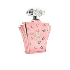 Perfume Zakat - Z17 100ml Eau De Parfum Woman Original