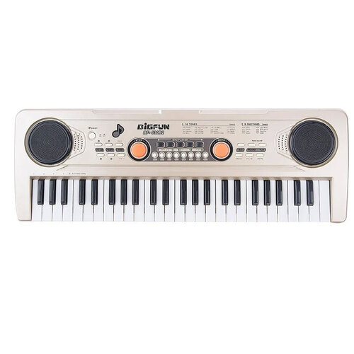 Organeta Piano Electrónico 49 Teclas + Micrófono