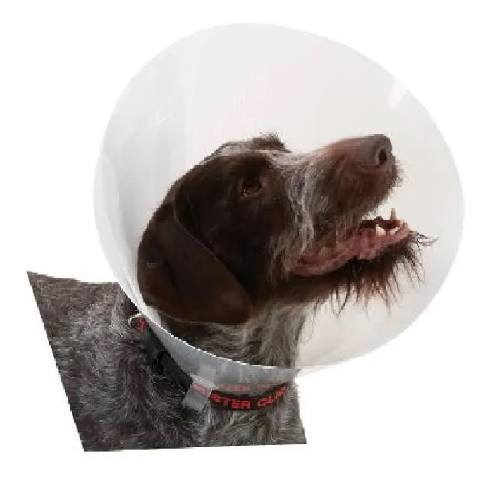 Collar Isabelino Para Perros Buster Transparente 7.5 Cm