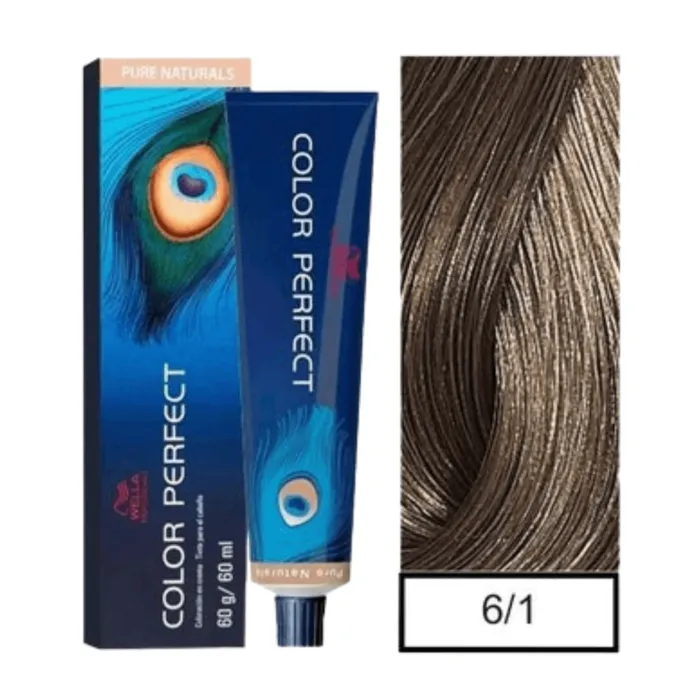 Tinte Color Perfect 6-1 CP61