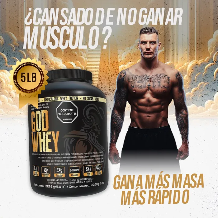 Proteína Hipercalórica En Polvo GOD WHEY x 5 LB