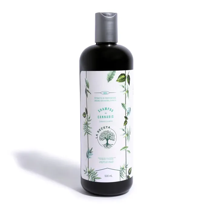 Shampoo de Argán Para Cabello Seco La Receta 500 ML