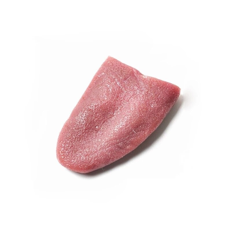 Lengua falsa elastica y realista medida 6cm 