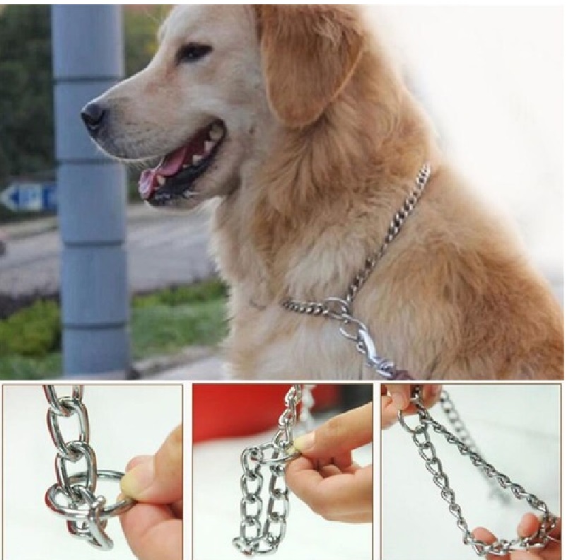 Collar Metalico Para Mascotas Medida 50cm 