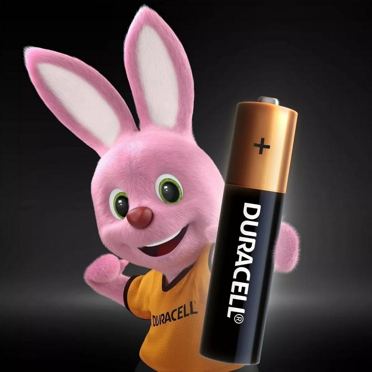 Pilas Duracell Alcalinas Aaa Paquete De 6 Unidades Original