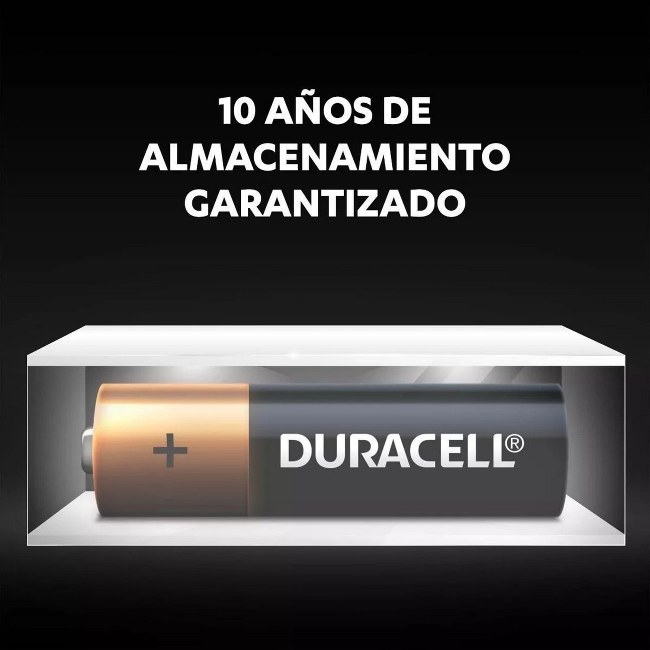 Pilas Duracell Alcalinas Aa Paquete De 2 Unidades Original