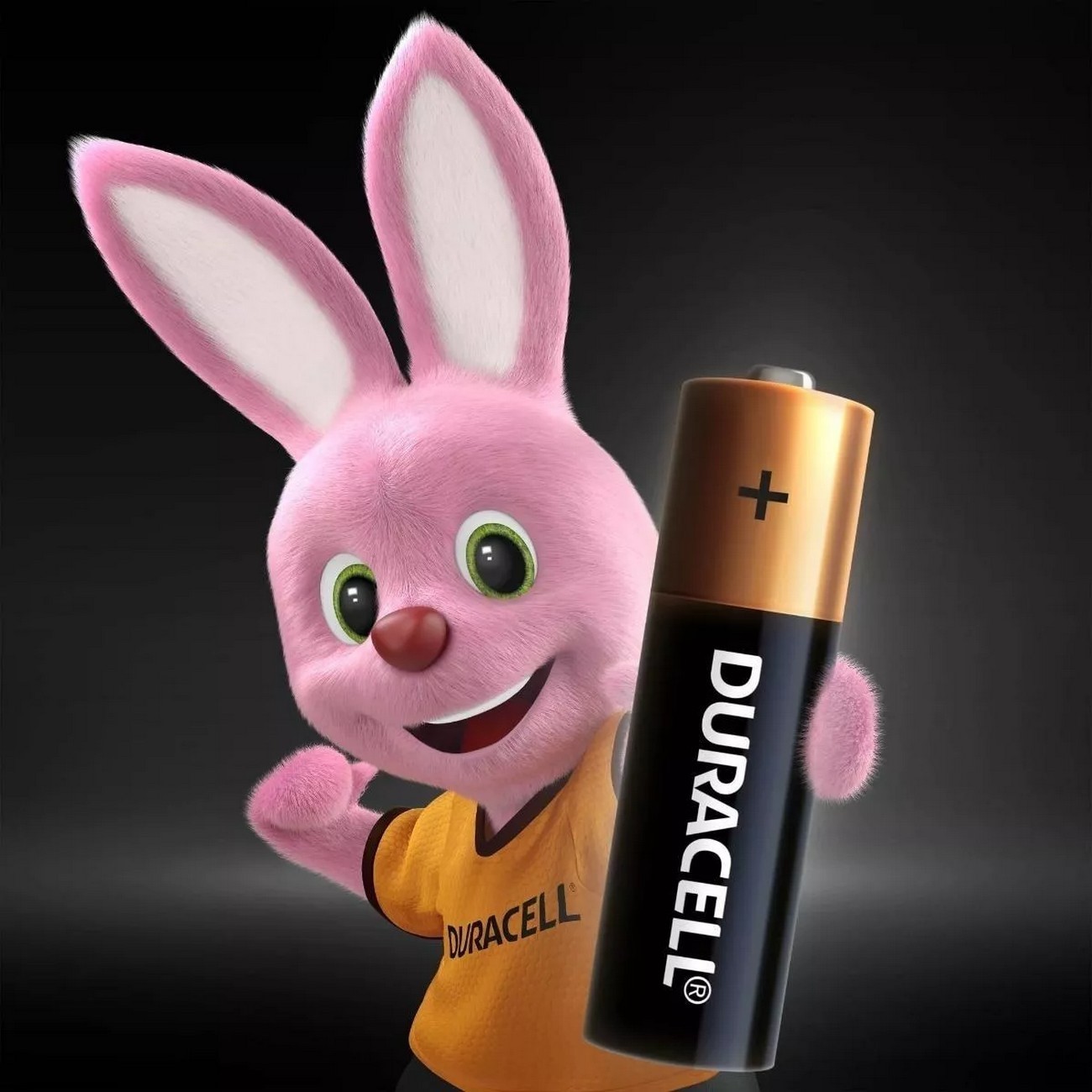 Pilas Duracell Alcalinas Aa Paquete De 6 Unidades Original