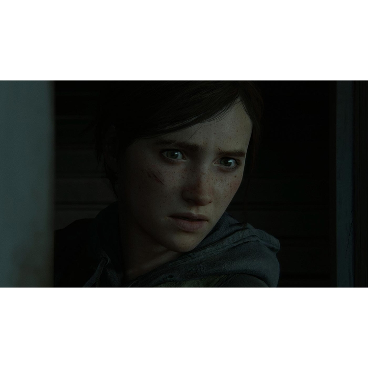The Last Of US 2 Ps4